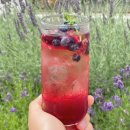 마포구의회 앞 마을버스정류장(14-563) | [제주/카페] 세화 제주수건케이크 찐맛집, 까르네 Cafe Carnet