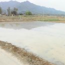 도암공인중개사사무소 이미지