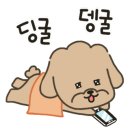 옐로우케어 이미지