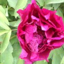 송일농장 이미지