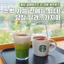 남동93 | 스타벅스 가을 시즌 한정 신메뉴 떴다! 근데 맛이...? (말차 글레이즈드 티 라떼 솔직 후기)