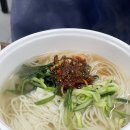만취렐라 이미지
