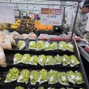 그랜드마트 | [공지] 양산 사송 지마트 G마트 그랜드 오픈 세일 행사 항목 방문 정보 후기