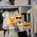 100장의추억 | 아산 더홍스튜디오 강아지 웨딩촬영 반려견 촬영 내돈내산 솔직 후기