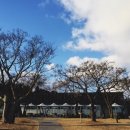 오설록 교차로 이미지