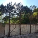 MG새마을금고빌딩 이미지