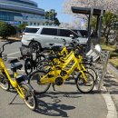 옥정체육공원 실내체육관 화장실 | [전남 구례] 서시천 체육공원, 국내 아름다운 벚꽃 명소! 봄나들이 가기 좋은 국내 4월 봄여행지 추천...