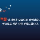 다팩몰 이미지