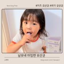 아이가 잘 먹는 키즈유산균! 남유네 아침엔유산균 솔직 후기 리뷰