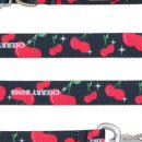 외솔길19번길 이미지