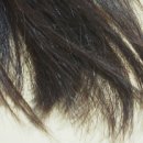 댕기머리헤어 - 안양시 동안구 | 댕기머리헤어