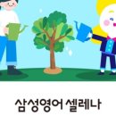 삼성영어셀레나호려울영어교습소