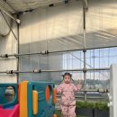 다인자동차 | 다인이네 딸기체험 농장 26개월 아기와 체험후기