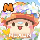 유니온 펫 | 🍁 [메이플스토리M 후기 &amp; 공략] 메이플 감성 그대로! 지금 쿠폰 받고 복귀 or 입문하기 딱 좋은 타이밍...