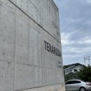 강릉에 가면 꼭 가봐야할 카페 테라로사 경포호수점과 분위기 깡패 서점 책방 한길서가 후기