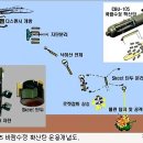 확산탄 (Cluster Bomb) 이미지