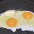 우리팜스 | 내돈내산 트립팜스 후기-1등급 계란을 3년간 무료로! 추천인코드