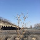 용궁원천탕