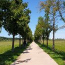 경포저류지 이미지