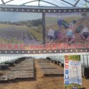 남광우농장 이미지