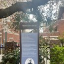 완월동120 이미지