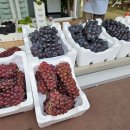 경희농원 이미지