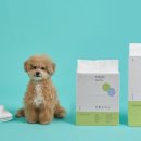 강아지공작소 이미지