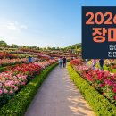 캘리그라피(1급)(야간) | 삼척 장미축제 2026 라인업 주차 에어쇼까지 완벽 정리