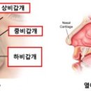 소가천마을
