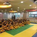 새빛솔금유치원 이미지