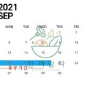 한끼담다