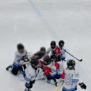 🏒 [2026 참빛 U-10 아이스하키 대회 후기(광운대)] 빙판 위의 작은 영웅들! 2026월드컵보다 큰 재미와 감동