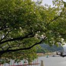 남강부동산중개사무소 이미지