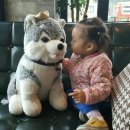 흰수염고래리조트 네이버블로그