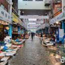 중앙선어시장 이미지