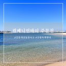 컴페니언펫 | 강릉 펜션 애견동반 독채펜션 고즈넉한 한옥스테이 : 컴페니언바이 주문진