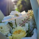 봄을 부르는 유러피언 플로리스트 | 마산 합성동 꽃집 화가플라워💐 내돈내산 재방문한 이유!