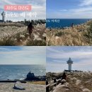 서귀포성당 뒤 주차장 | 제주 마라도 구경 여행 제주도 마라도 배 시간 여객선 예약