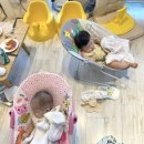 핑크코끼리울산삼산점