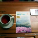 대동 바른 한의원 이미지