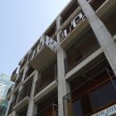 미메시스 아트 뮤지엄 이미지