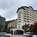 우동펫(우리동네 펫 서비스) | 소노펫 비발디파크에서 댕댕이랑 놀다온 후기 (내돈내산, 패밀리룸)