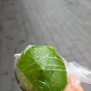 [상하이/상해] 난징동루 줄 서는 떡집, 쉔다청, 션다청 메뉴 추천, 후기