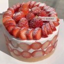프레베리 네이버블로그