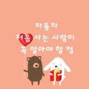 사람과 자동차 이미지