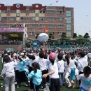 상률초등학교 이미지