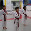 경희대 에이스 태권도장 이미지