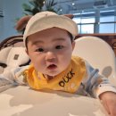 포레밀 | 대구에서 만난 여유, 포레밀 브런치 후기 내돈내산