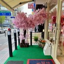 역곡사진관 이미지