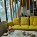 칸타빌최고공인중개사사무소 이미지